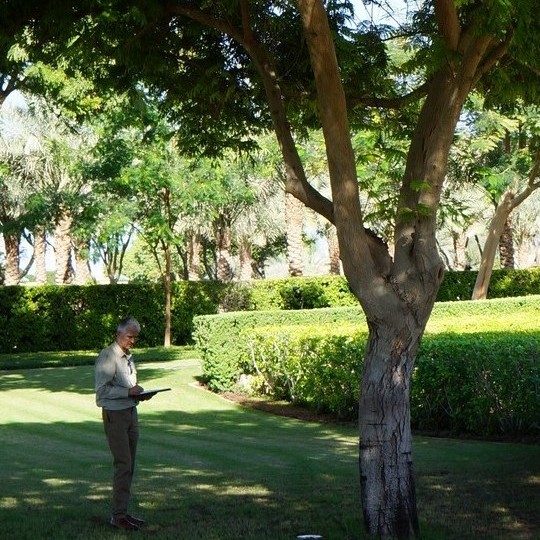 tree surveying in Abu Dhabi
