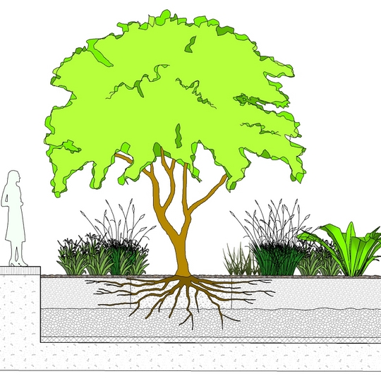 A section of interior podium planting