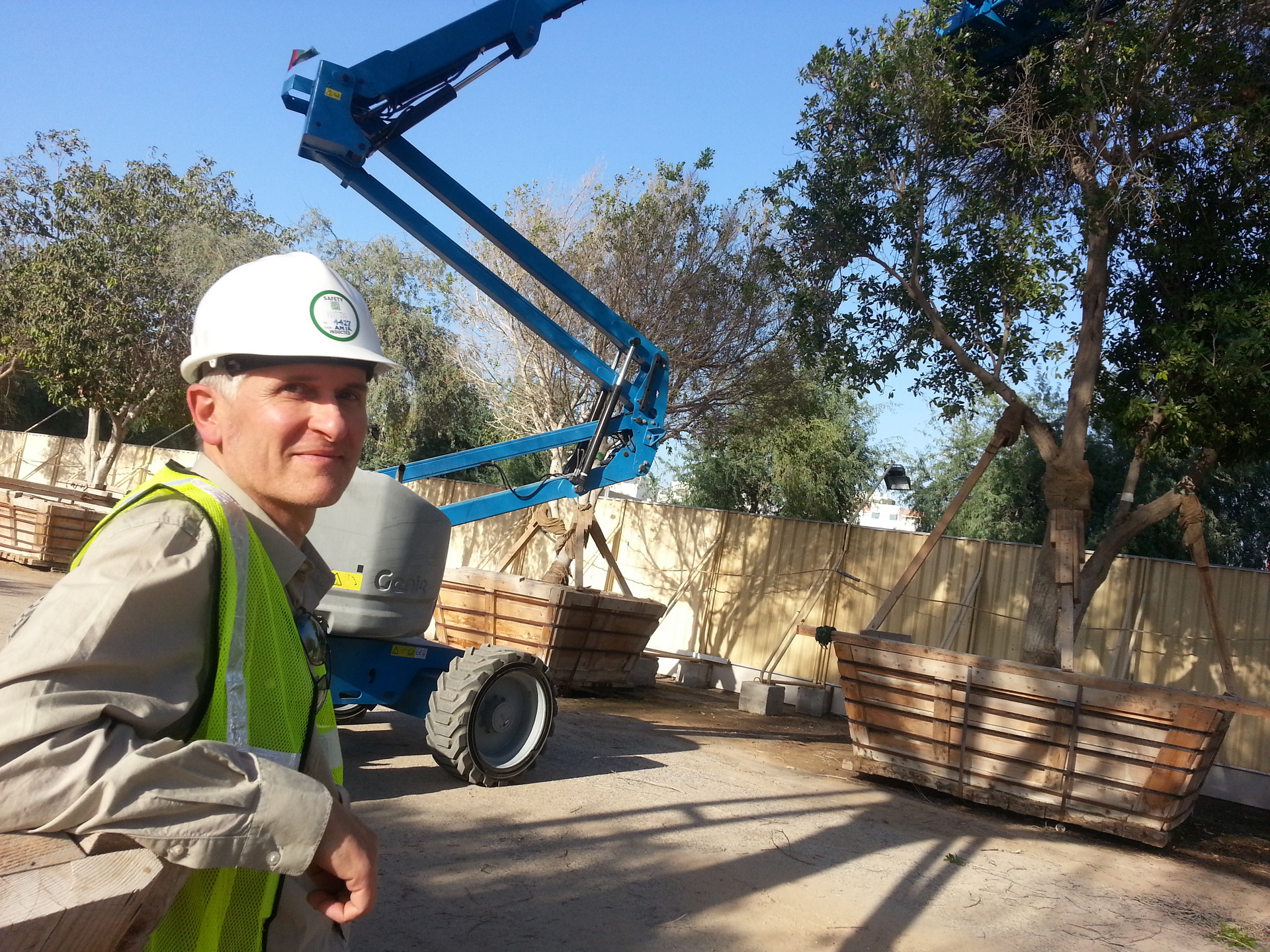 Mark working with trees in Abu Dhabi