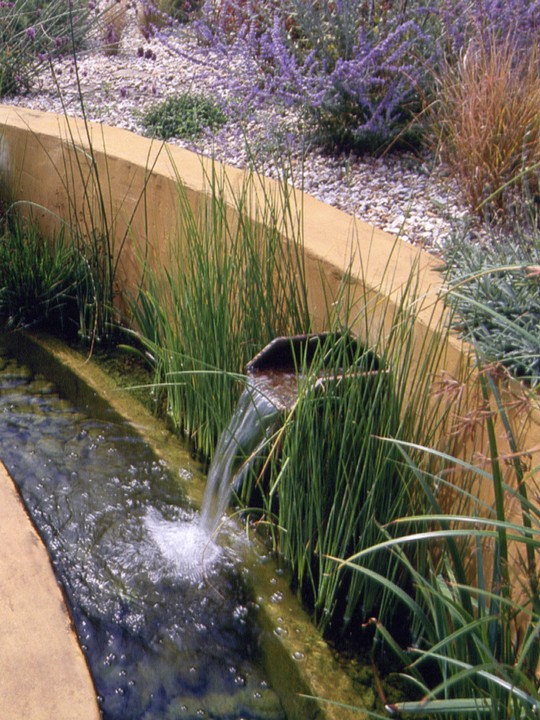 A curved water fiture with biofilter and water chutes